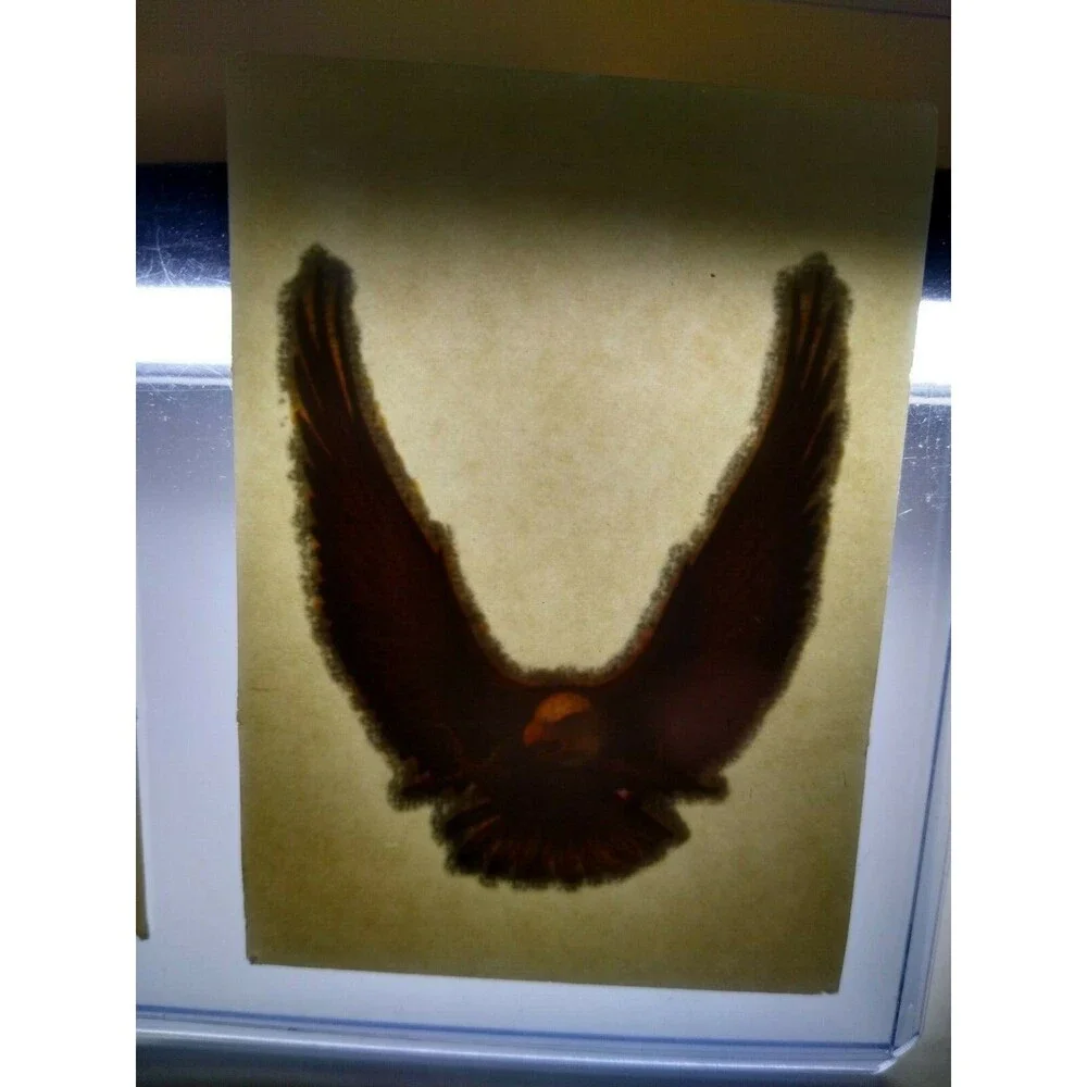 Screamin Gleamin Glitter Iron-On Transfer Decal Donruss 1970s Chevy Camaro Eagle
